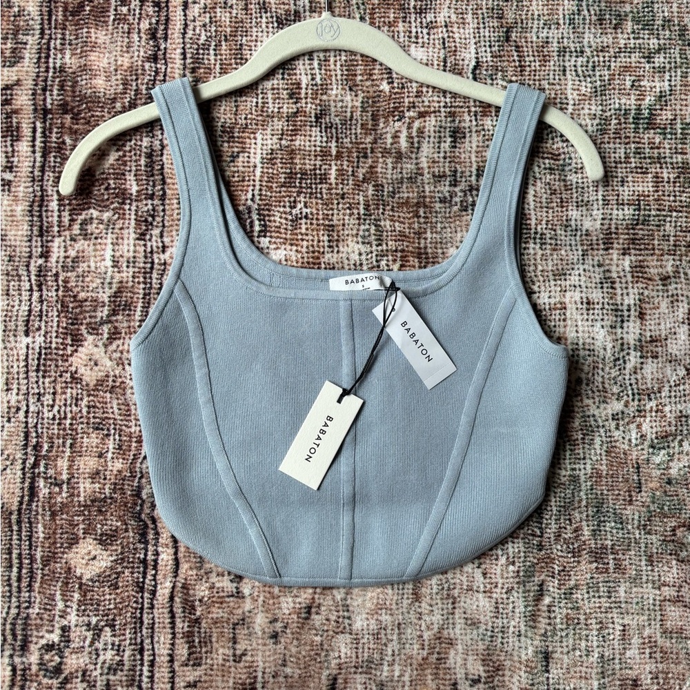 Babaton Daze Grey Sculpt Knit Bustier
